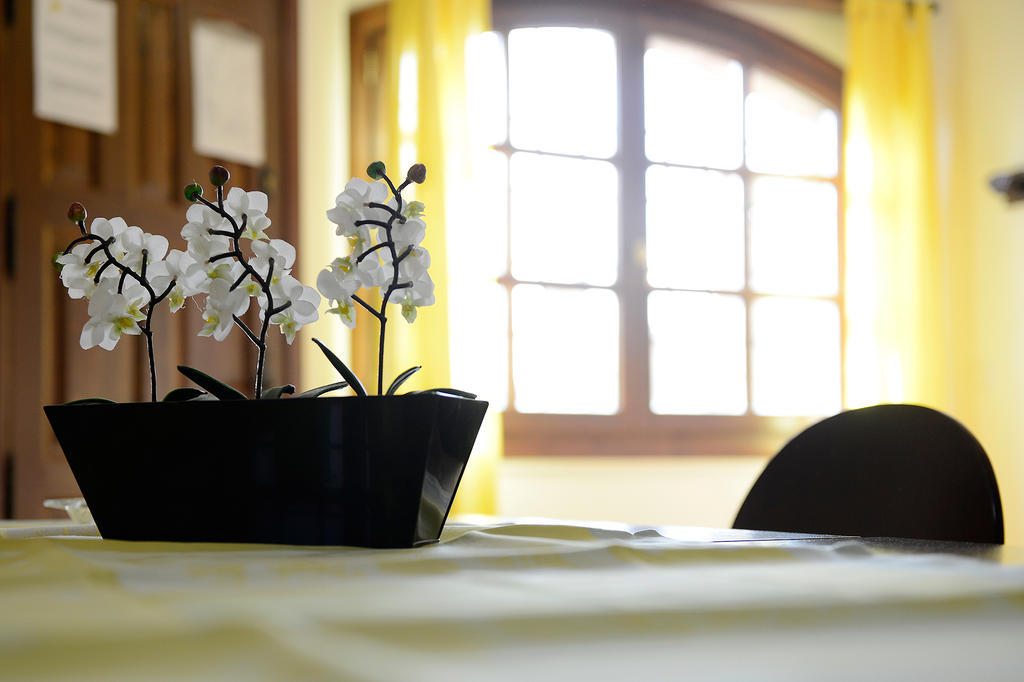 Apartamentos Bellavista Alquezar Phòng bức ảnh